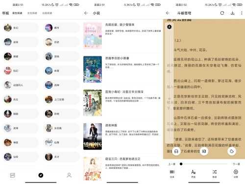 程序猿小说V1199 去除已知广告 免费追书体验