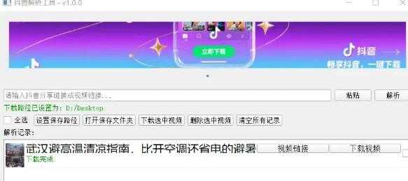 Windows 抖音解析工具 自用版 